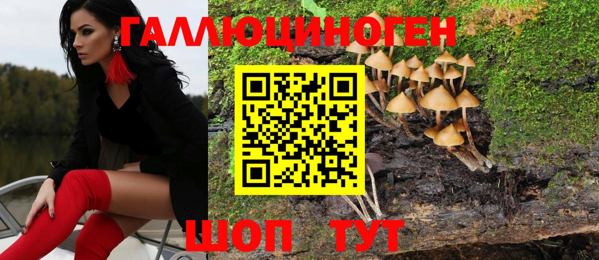 Псилоцибиновые грибы Magic Shrooms  Вход с VPN  Ачинск  Галлюциногенные грибы GOLDEN TEACHER 